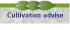 Cultivation advise